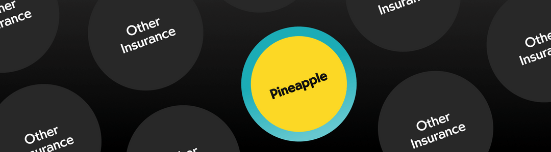 A closer look at Pineapple Banana Insurance Puppy Takes